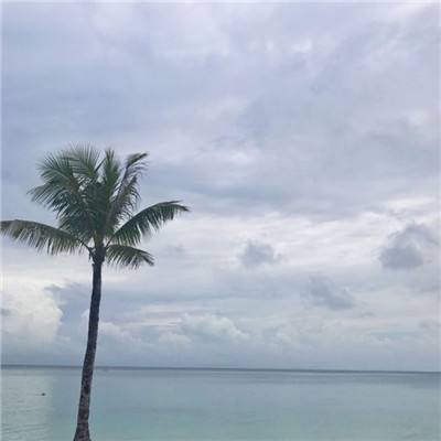 战意手游官方